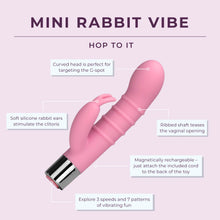 Load image into Gallery viewer, Mini Rabbit Vibe