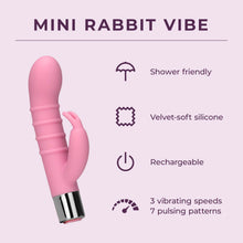 Load image into Gallery viewer, Mini Rabbit Vibe